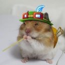 복막걸리 네이버블로그