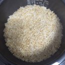 미밥 | #금진미 발아현미 밥 지어 먹어본 솔직후기#