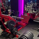 에스휘트니스 이미지