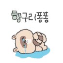 미샵헤어샵