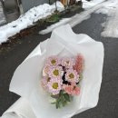 이와이 | [W-13] 삿포로 스냅 "이와이 하우스" 촬영 후기 - 이와이 필름