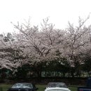 오션드림 이미지