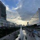 더피올라플라워