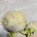 브리더하우스 이미지