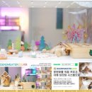 그루밍캐터리 이미지