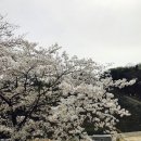 카페라토