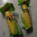 정희세탁 | [#11]2월 이모저모 일상(박스 부업,강남 무지 탐방,사돈네와 함께하는 설명절,피크민블룸,튤립 구근...