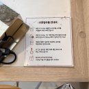 광안리 소품샵 앤 타코야끼 푸딩 전문 디저트카페 나뭇잎마을 포장 팁
