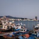 화흥수산 티스토리