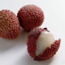 리치 Daum카페
