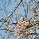 안민고개 정상 이미지