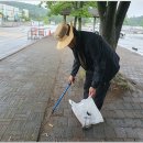 (야간열차) 주왕산 사무소 지하실 & 식물 자생원 정리정돈 이미지