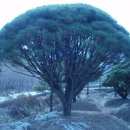 우영농원 이미지