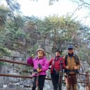 소선암자연휴양림 이미지