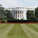 백악관 이미지