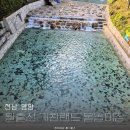 기찬랜드 | 아이랑 광주 근교 물놀이 추천 전남 영암 월출산 기찬랜드 물놀이장 후기