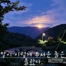 129/ 팔색조와 같은 말 한 마디 이미지