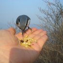 (주)태초 이미지