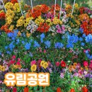 유림공원 | 유림공원 유성봄꽃전시회 방문 후기 주차 포토존 정리