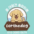 뽀더독(FORTHEDOG) 이미지