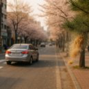 송진포항 이미지