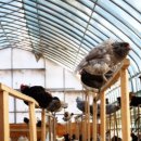 숲속청계농장 이미지