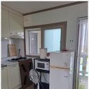 학암포 해당화 이미지