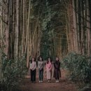 소낭 게스트하우스 이미지