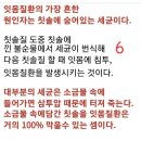 건강 ●초월 ● 암 극복 ●물과소금●이시형●양파●치매예방 ●투통●걷기●엄지발가락 전립선약과감기약.커피마시면안됨●새우젖●의사병원안감●혈압 이미지