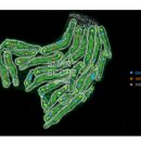 블루원CC (대중제) 이미지