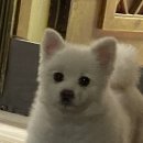 보라시민약국 이미지