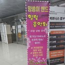 양쏭이음악여행