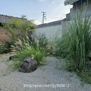 스테이더담 청도청라점 이미지