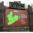 영동1교 북측 이미지