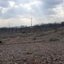 오원농장 이미지