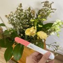 임신 5주 :: 임신 초기 분만병원 정하기, 초음파, 영양제(엽산,비타민D, 유산균) 그리고 많은 생각들..