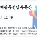 제이에스501 이미지