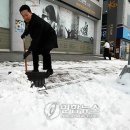 쓸자