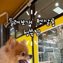 들려보개 펫살롱 이미지