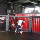 팀피니쉬 주짓수&복싱MMA 이미지