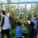 상순농장 이미지