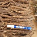 강원도 횡성군 횡성읍 읍상서로 이미지