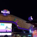 2019-주108 이미지