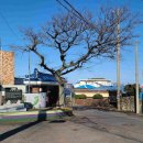 북촌 해동 이미지