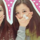 보니 이미지
