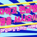 배배밀 이미지