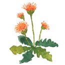 구산면560 이미지