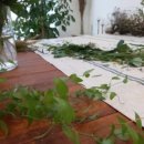 꽃드리움 이미지