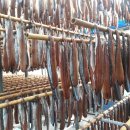 구룡포 과메기 이미지