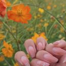 순성농협 하나로마트 이미지